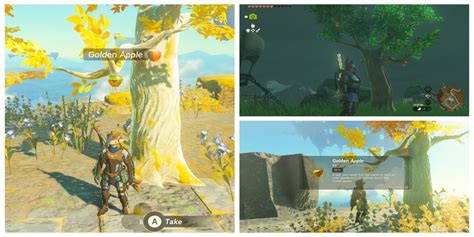 How to Find & Use Golden Apple in Zelda: Tears of。